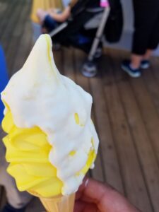 It's Snow-capped Raspberry from Adorable Snowman Frozen Treats in Disneyland