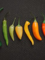 10 Spiciest Food Items at Disneyland: A Fire-Eater's Guide