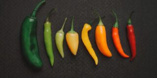 10 Spiciest Food Items at Disneyland: A Fire-Eater's Guide