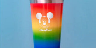 Pride Stainless Steel Tumbler